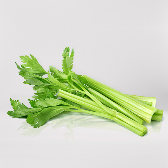 무농약 샐러리  3kg