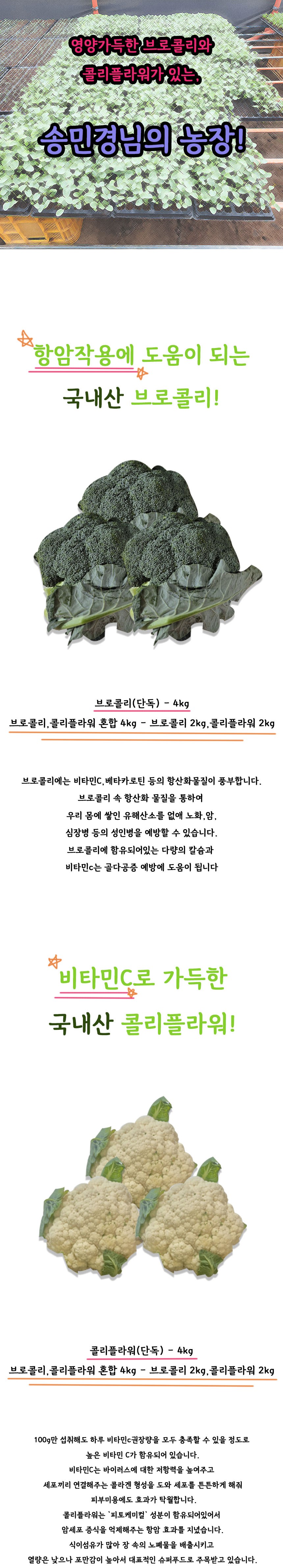 유기농 브로콜리