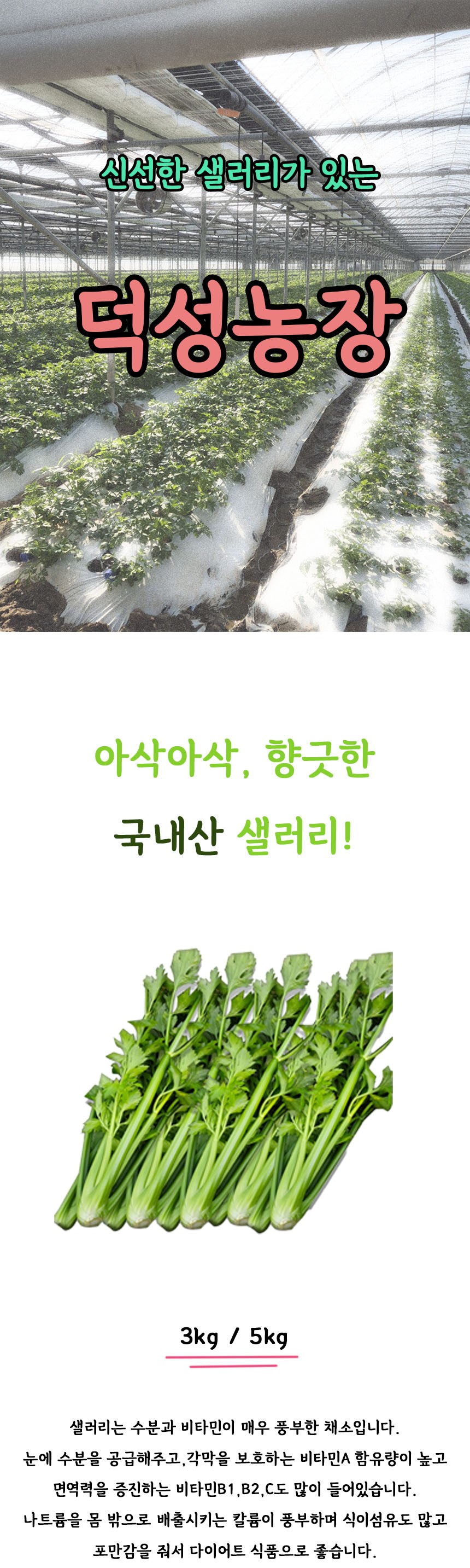 유기농 샐러리